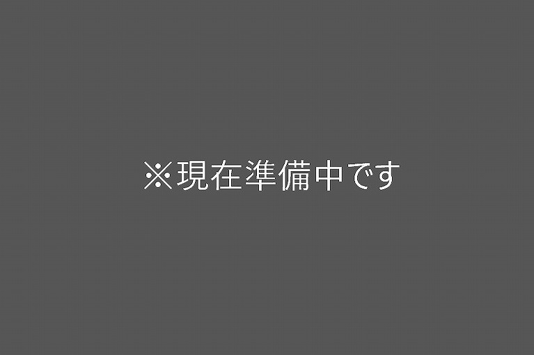 園庭活動・散歩・自由遊び